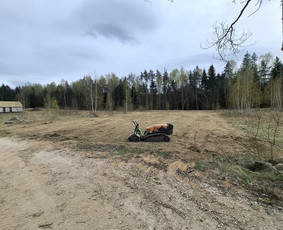Aplinkos tvarkymas, apželdinimas - Apleistų sklypų tvarkymas - 4
