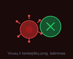 IT paslaugos visoje Lietuvoje / Lukas Aleksiejūnas / Darbų pavyzdys ID 4389894