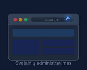 IT paslaugos visoje Lietuvoje / Lukas Aleksiejūnas / Darbų pavyzdys ID 4389908