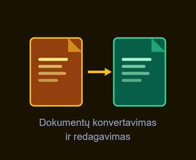 IT paslaugos visoje Lietuvoje / Lukas Aleksiejūnas / Darbų pavyzdys ID 4389914