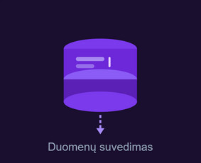 IT paslaugos visoje Lietuvoje / Lukas Aleksiejūnas / Darbų pavyzdys ID 4389916