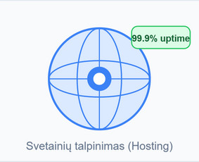 Svetainių talpinimas (Hosting) - IT paslaugos visoje Lietuvoje - 1