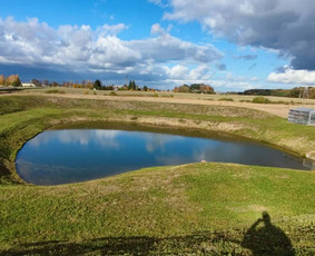 Pievų &scaron;ienavimas - Žolės pjovimas - 2