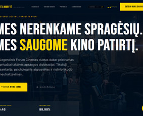 HTML/CSS kodavimas - Interneto svetainių kūrimas - 3