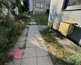 Geodezijos ir žemėtvarkos paslaugos  Riboženklių atstatymas / MB „Pakamaris“ / Darbų pavyzdys ID 4390790