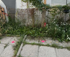 Geodezijos ir žemėtvarkos paslaugos  Riboženklių atstatymas / MB „Pakamaris“ / Darbų pavyzdys ID 4390792