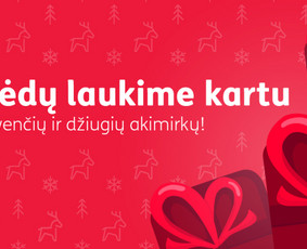 Vizitinių kortelių maketavimas - Grafikos dizainas - 1