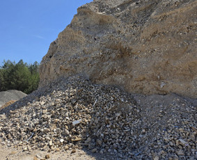 Betono skalda, Mix, atsijos – Vilnius Gariūnai / Julius / Darbų pavyzdys ID 4392338