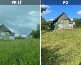 Vejos/aukštos žolės pjovimas, kiti gerbūvio darbai. / Kasparas / Darbų pavyzdys ID 4392562