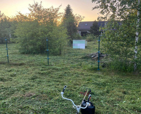 Vejos/aukštos žolės pjovimas, kiti gerbūvio darbai. / Kasparas / Darbų pavyzdys ID 4392576