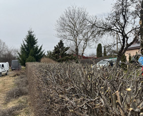 Pievų &scaron;ienavimas - Vejos priežiūra ir aplinkos tvarkymo darbai Vilniuje - 4