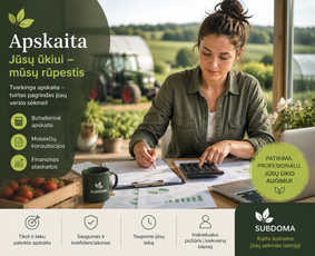 Paslaugos verslui - Es projektų rengimas ir konsultacija - 4