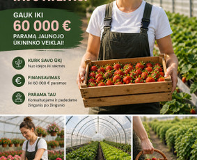 ES paramos projektų rengimas ir administravimas - Es projektų rengimas ir konsultacija - 2