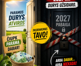 Verslo plėtros konsultacijos - Es projektų rengimas ir konsultacija - 1