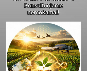 Verslo planų rengimas - Es projektų rengimas ir konsultacija - 1