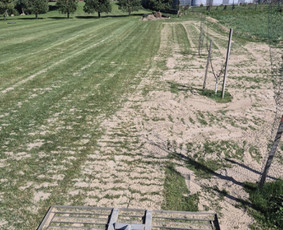 "Vensland" Skarifikavimas, Core aeracija, Levelingas / Tomas Venslovas / Darbų pavyzdys ID 4393882