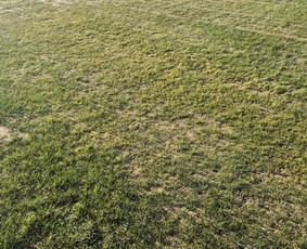 "Vensland" Skarifikavimas, Core aeracija, Levelingas / Tomas Venslovas / Darbų pavyzdys ID 4393898
