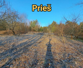Statybos, apdaila - Profesionalūs griovimo darbai - 4