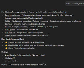Interneto svetainių kūrimas - Padedu verslams būti randamiems per Di paie&scaron;ką / Ai Seo /Geo - 2