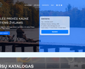 Interneto svetainių kūrimas - Padedu verslams būti randamiems per Di paie&scaron;ką / Ai Seo /Geo - 4