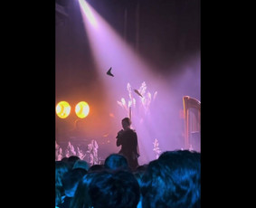 Ek Lights / MB EK Lights / Darbų pavyzdys ID 4394338