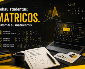 Matematikos Korepetitorius [6-12 klasėms ir studentams] / Nerijus Simanavičius / Darbų pavyzdys ID 4394780