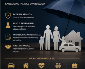 Draudimas, draudimo agentai - Visos Draudimo Paslaugos Privatiems Ir Verslo Klientams - 1