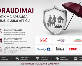 Draudimas, draudimo agentai - Visos Draudimo Paslaugos Privatiems Ir Verslo Klientams - 3
