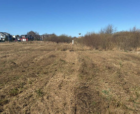 Apleistų sklypų tvarkymas - Vejos priežiūra, sklypų priežiūra, mulčiavimas - 3