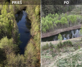 Aplinkos tvarkymas, apželdinimas - Uzleistu sklypu tvarkymas, medžiu ir krumu ispjovimas, isvez - 1