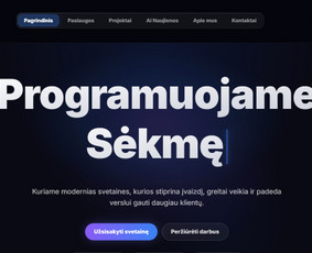 El. parduotuvių kūrimas su OpenCart - Internetinių svetainių kūrimas nuo 190 &euro; - 1