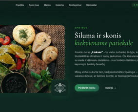 Paslaugos verslui - Internetinių svetainių kūrimas nuo 190 &euro; - 4