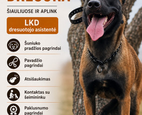 &Scaron;unų dresuotojai - &Scaron;unų dresūros paslaugos &Scaron;iauliuose ir aplink - 1