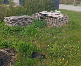 Buitinės technikos i&scaron;vežimas - Krovinių pervežimas, &scaron;iuk&scaron;lių i&scaron;vežimas - 2