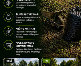Visi aplinkos tvarkymo darbai / Vyrai Sode / Darbų pavyzdys ID 4398996