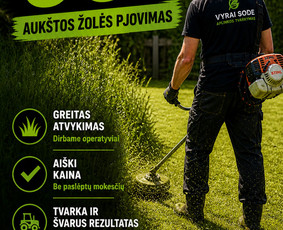Visi aplinkos tvarkymo darbai / Vyrai Sode / Darbų pavyzdys ID 4399006