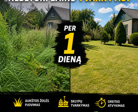 Vejos priežiūra, įrengimas - Visi aplinkos tvarkymo darbai - 4