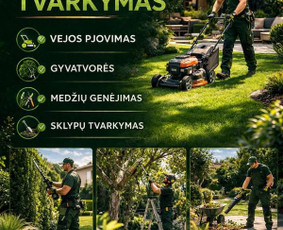 Vejos priežiūra, įrengimas - Visi aplinkos tvarkymo darbai - 3
