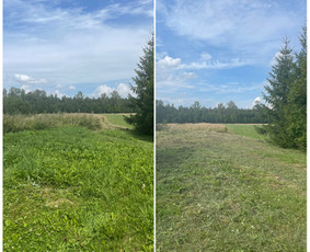 Visi aplinkos tvarkymo darbai / Vyrai Sode / Darbų pavyzdys ID 4399034