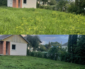 Visi aplinkos tvarkymo darbai / Vyrai Sode / Darbų pavyzdys ID 4399054