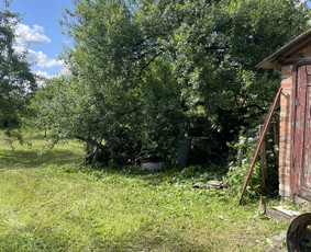 Visi aplinkos tvarkymo darbai / Vyrai Sode / Darbų pavyzdys ID 4399062