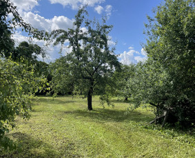 Visi aplinkos tvarkymo darbai / Vyrai Sode / Darbų pavyzdys ID 4399068