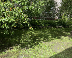 Visi aplinkos tvarkymo darbai / Vyrai Sode / Darbų pavyzdys ID 4399070