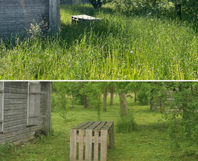 Pievų &scaron;ienavimas - Visi aplinkos tvarkymo darbai - 3