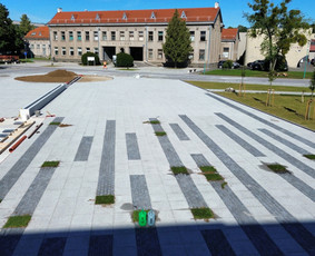 Trinkelių klojimas. Betonavimas ir kiti aplinkos darbai. / UAB "Industrinė statyba" / Darbų pavyzdys ID 4399414