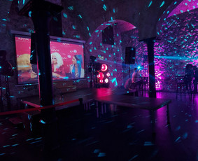 Muzikantai, dainininkai, grupės - Renginių techninis aptarnavimas, įrangos nuoma, Dj paslaugos - 4