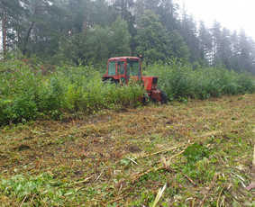 Pievų šienavimas, žolės mulčiavimas, kelkraščių priežiūra / MB Floresida / Darbų pavyzdys ID 4399958
