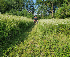 Pievų šienavimas, žolės mulčiavimas, kelkraščių priežiūra / MB Floresida / Darbų pavyzdys ID 4399964
