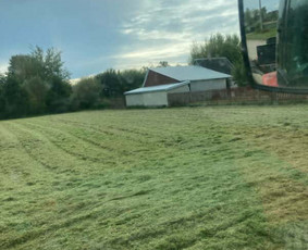 Pievų šienavimas, žolės mulčiavimas, kelkraščių priežiūra / MB Floresida / Darbų pavyzdys ID 4399970