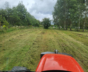 Pievų šienavimas, žolės mulčiavimas, kelkraščių priežiūra / MB Floresida / Darbų pavyzdys ID 4399972